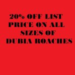 20%OFF.jpg