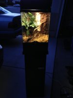 Terrarium.jpg