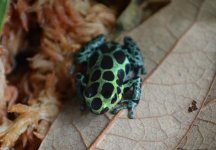 tn_DSC_0360.jpg