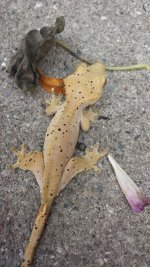 20140928_144603.jpg