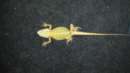 20141009_180336.jpg