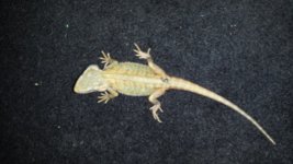 20141009_180131.jpg