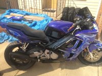 motorcycle8.jpg