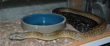 DSC_0001.jpg