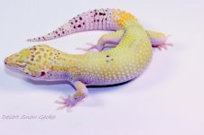 IMG_1813.jpg