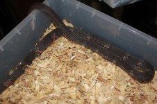 IMG_5065.jpg