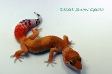 IMG_1896.jpg