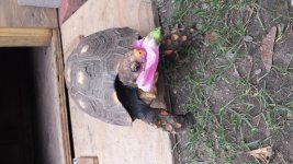 20140909_104429.jpg