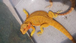 20140621_152817.jpg