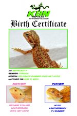 7-birth_certificate.jpg