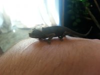 20140909_111233.jpg