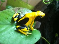 IMG_1172.jpg