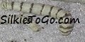 120x60.jpg