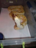 IMG_28229002141838.jpeg
