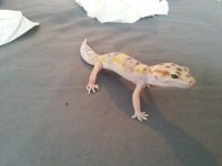 20140703_072518.jpg 20140703_072518.jpg
