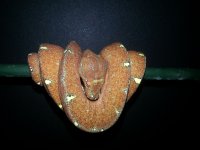 20130827_154911.jpg
