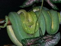 2012091095151758.jpg