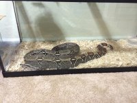 IMG_0988[1].jpg