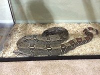 IMG_0989[1].jpg