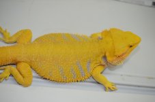 DSC_5538.jpg