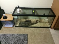 IMG_0990[1].jpg