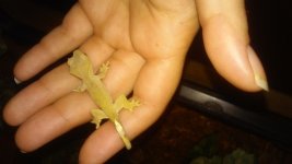20140901_101349.jpg