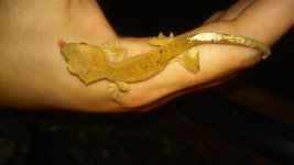 20140901_101305.jpg