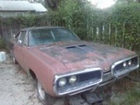 Superbee1.jpg