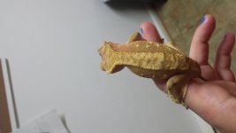 20140803_211443.jpg
