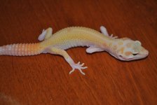 DSC_0186.jpg