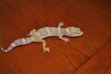 DSC_0174.jpg