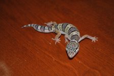 DSC_0189.jpg