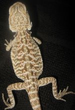 IMG_2892.JPG