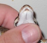 DSCN5219.JPG