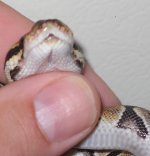 DSCN5220.JPG