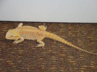 DSC01790.jpg