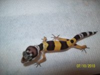 100_2440.jpg