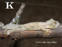 DSC04624.jpg