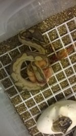 WP_20140925_003.jpg