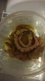 WP_20140925_006.jpg