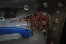 DSC_j0005.jpg