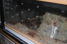 DSC_j0007.jpg