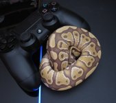PS4b.jpg