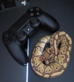 PS4a.jpg