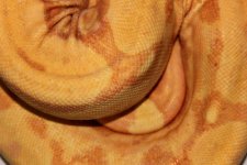 IMG_0876.JPG