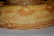 IMG_0875.JPG