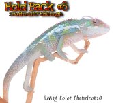 Hold Back 8.JPG