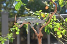 DSC_1007_01.jpg