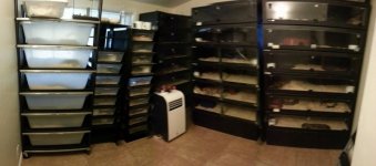 rtb room.jpg