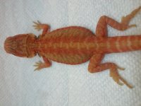20140705_130906.jpg